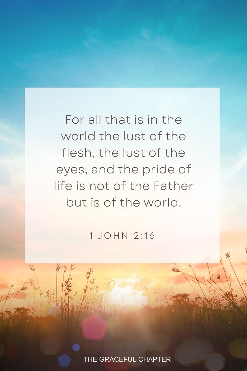 For all that is in the world the lust of the flesh, the lust of the eyes, and the pride of life is not of the Father but is of the world. 1 John 2:16