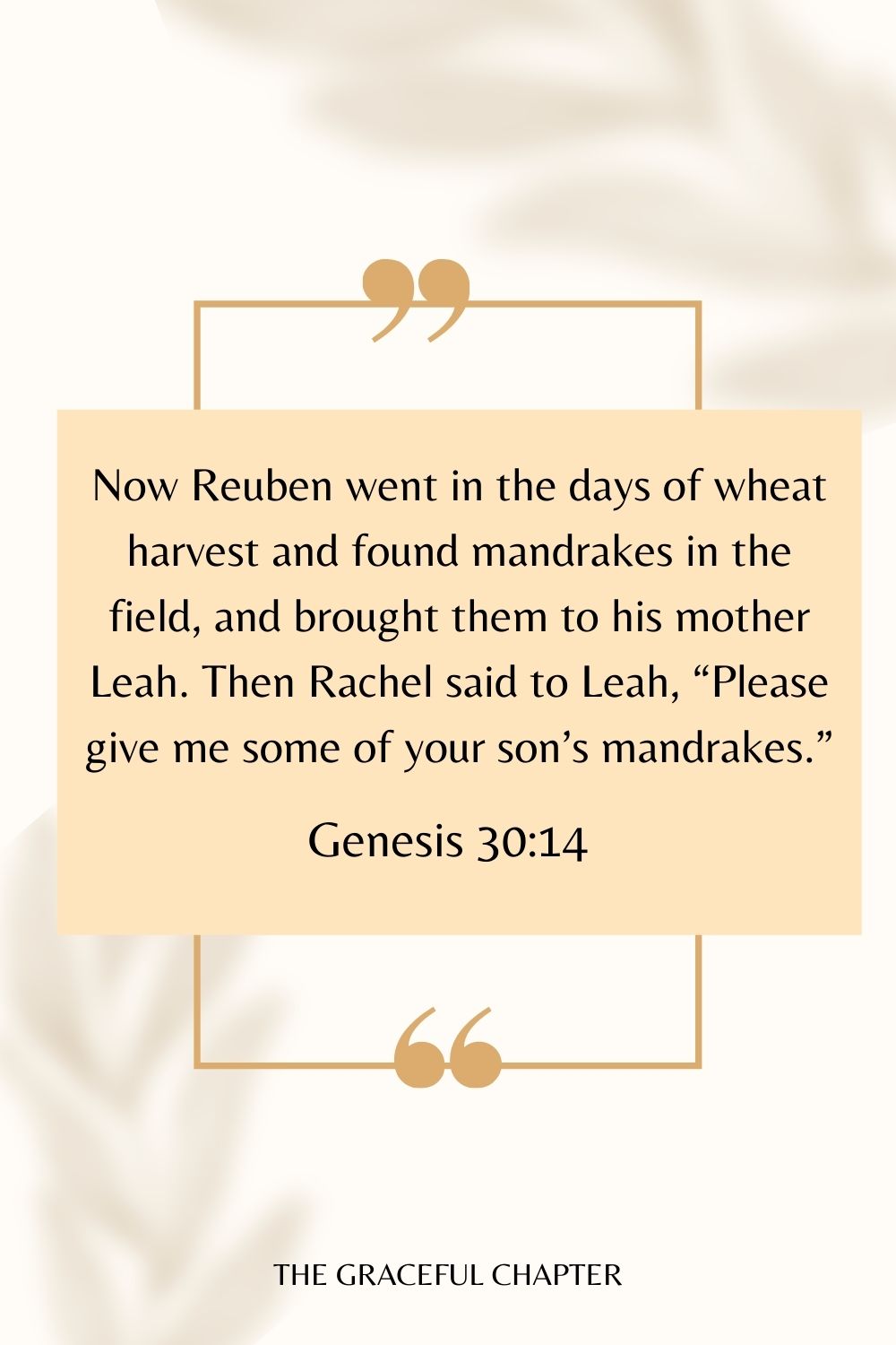 Now Reuben went in the days of wheat harvest and found mandrakes in the field, and brought them to his mother Leah. Then Rachel said to Leah, “Please give me some of your son’s mandrakes.” Genesis 30:14
