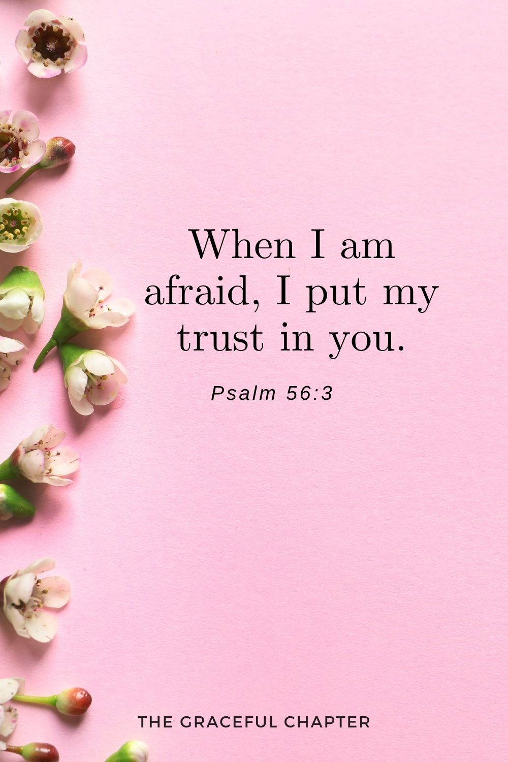 short bible verses about faith - When I am afraid, I put my trust in you. Psalm 56:3