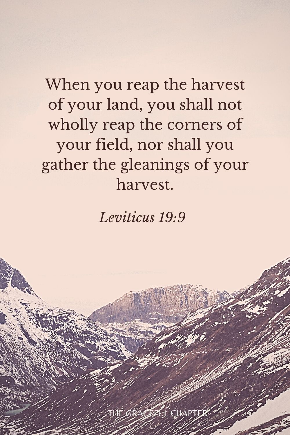 When you reap the harvest of your land, you shall not wholly reap the corners of your field, nor shall you gather the gleanings of your harvest. Leviticus 19:9