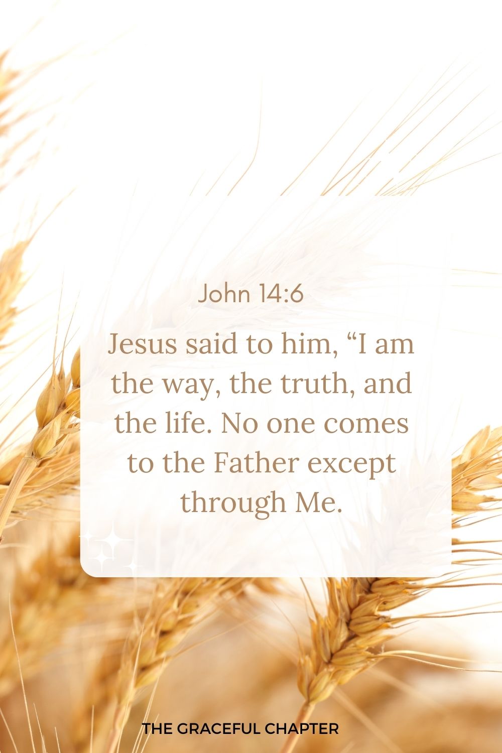 Jesus said to him, “I am the way, the truth, and the life. No one comes to the Father except through Me. John 14:6