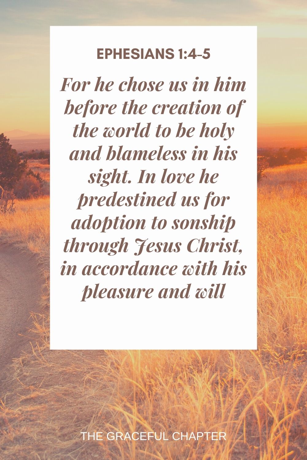 For he chose us in him before the creation of the world to be holy and blameless in his sight. In love he predestined us for adoption to sonship through Jesus Christ, in accordance with his pleasure and will Ephesians 1:4-5