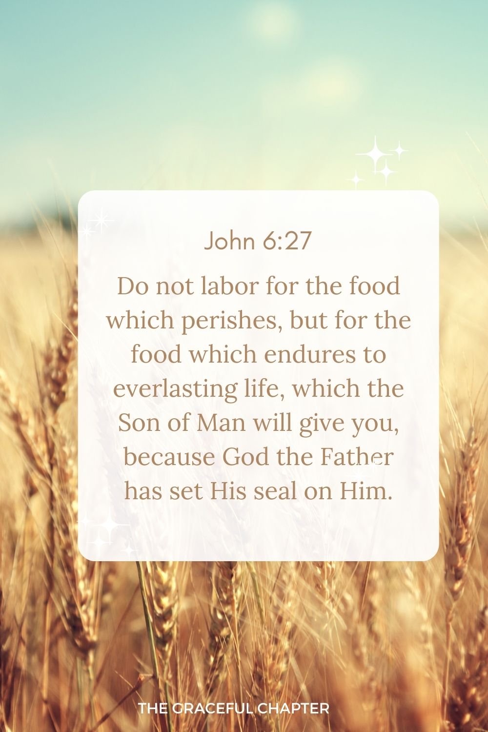 Do not labor for the food which perishes, but for the food which endures to everlasting life, which the Son of Man will give you, because God the Father has set His seal on Him. John 6:27