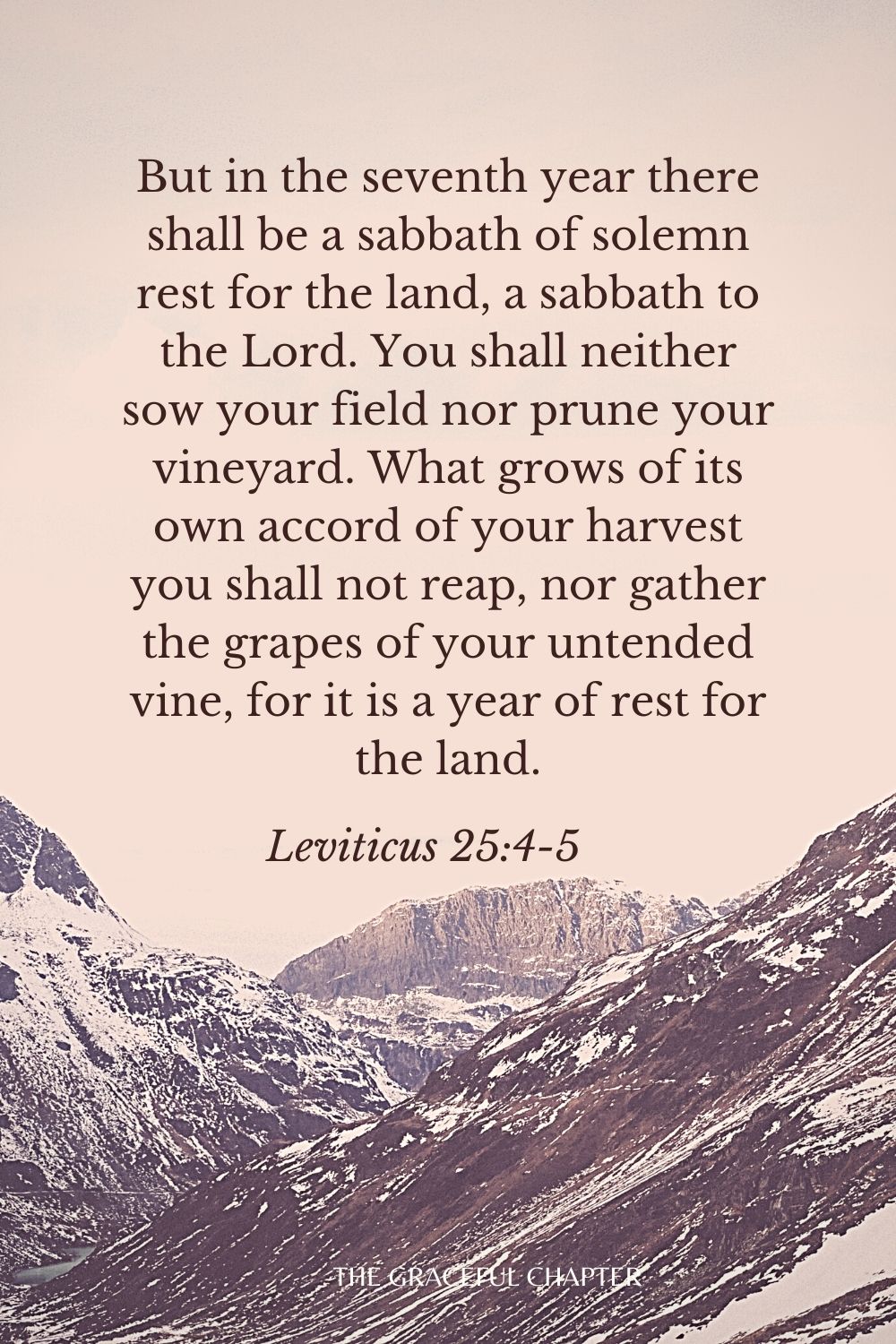 But in the seventh year there shall be a sabbath of solemn rest for the land, a sabbath to the Lord. You shall neither sow your field nor prune your vineyard. What grows of its own accord of your harvest you shall not reap, nor gather the grapes of your untended vine, for it is a year of rest for the land. Leviticus 25:4-5