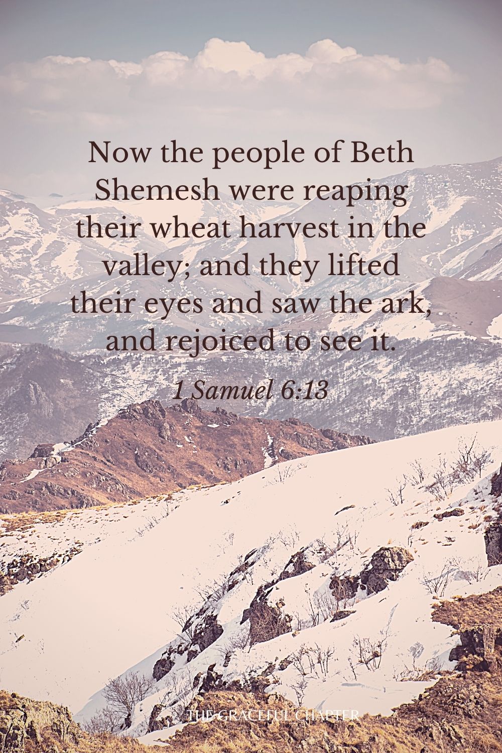 Now the people of Beth Shemesh were reaping their wheat harvest in the valley; and they lifted their eyes and saw the ark, and rejoiced to see it. 1 Samuel 6:13