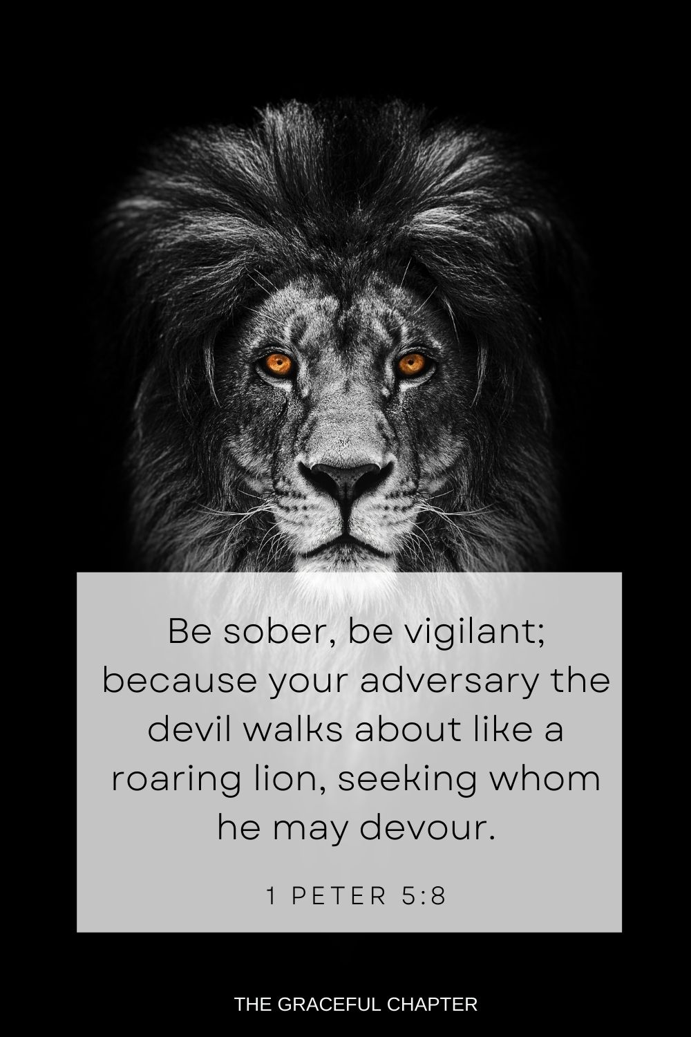 Be sober, be vigilant; because your adversary the devil walks about like a roaring lion, seeking whom he may devour. 1 Peter 5:8