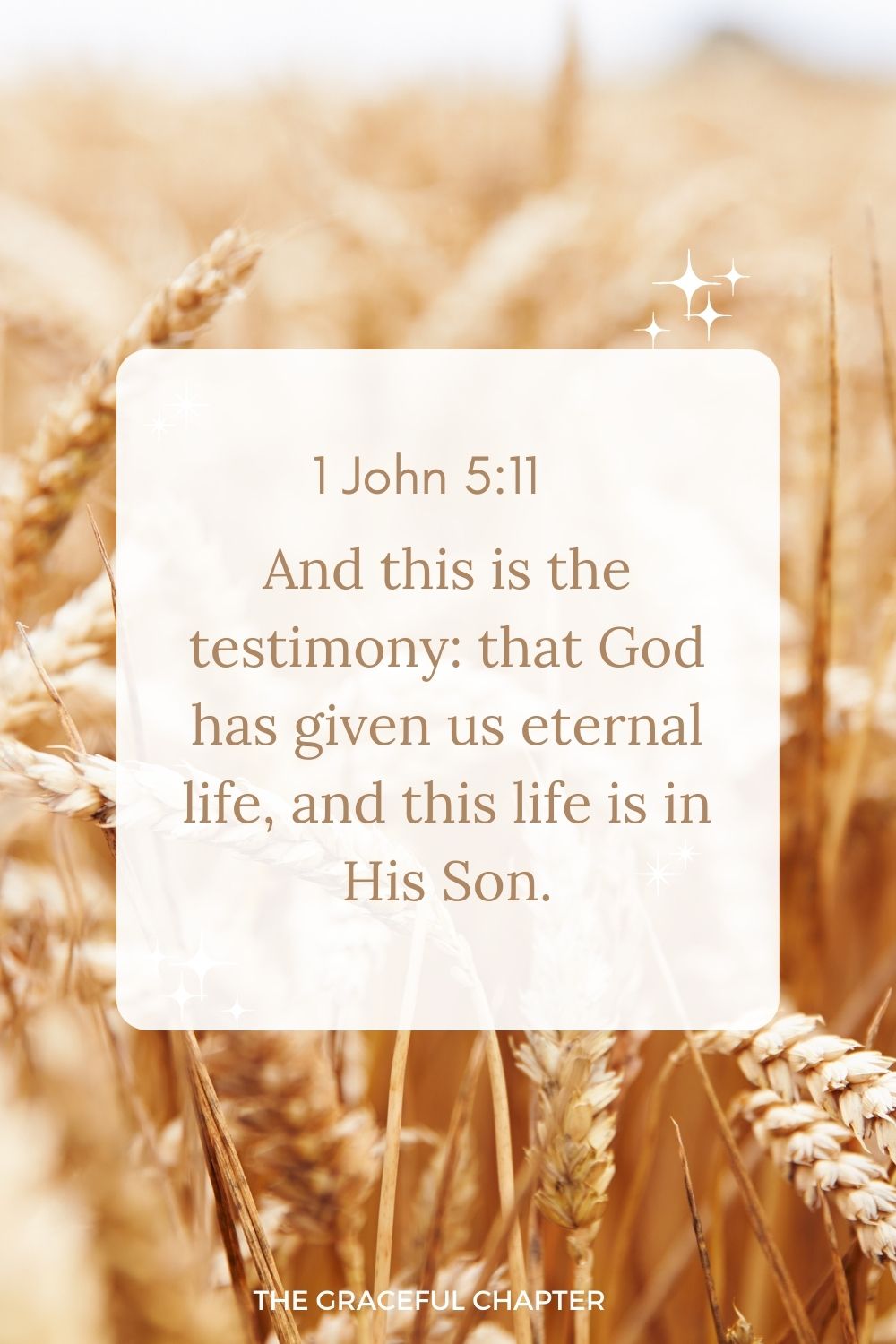And this is the testimony: that God has given us eternal life, and this life is in His Son. 1 John 5:11