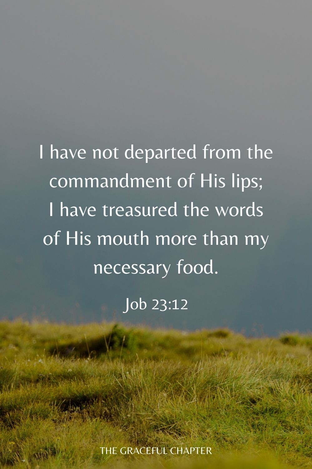 I have not departed from the commandment of His lips; I have treasured the words of His mouth more than my necessary food. Job 23:12