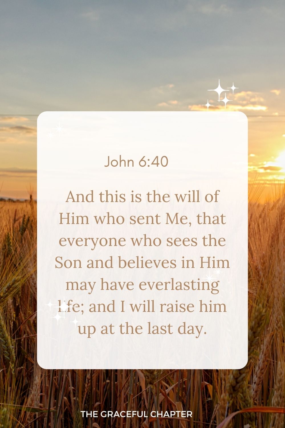 And this is the will of Him who sent Me, that everyone who sees the Son and believes in Him may have everlasting life; and I will raise him up at the last day. John 6:40