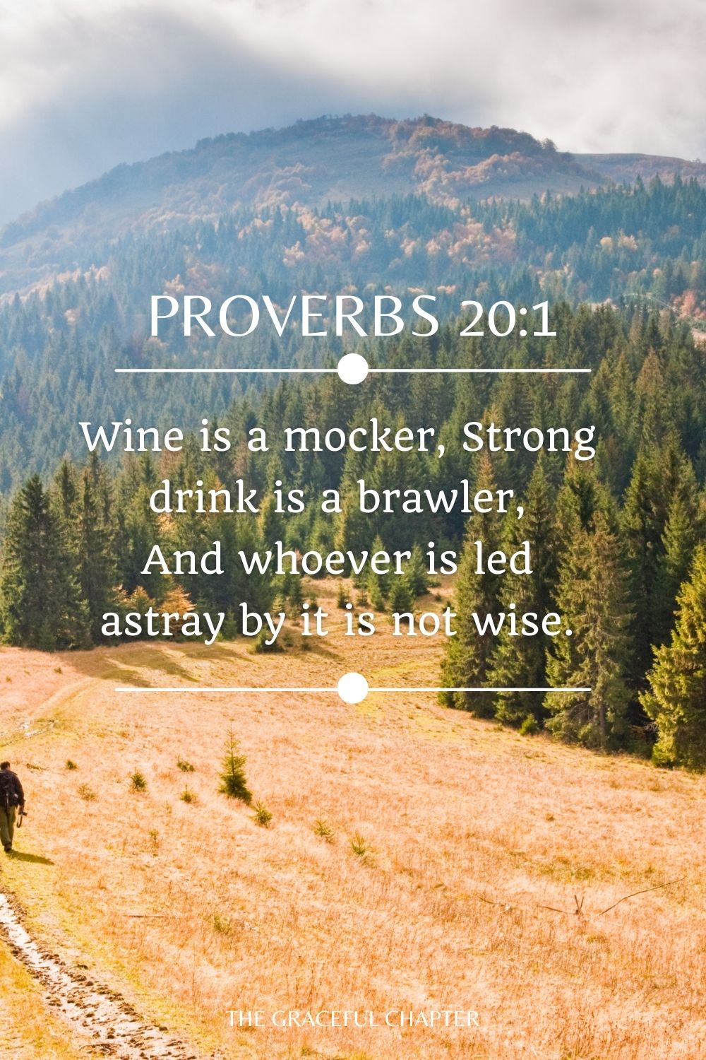 Wine is a mocker, Strong drink is a brawler, And whoever is led astray by it is not wise. Proverbs 20:1