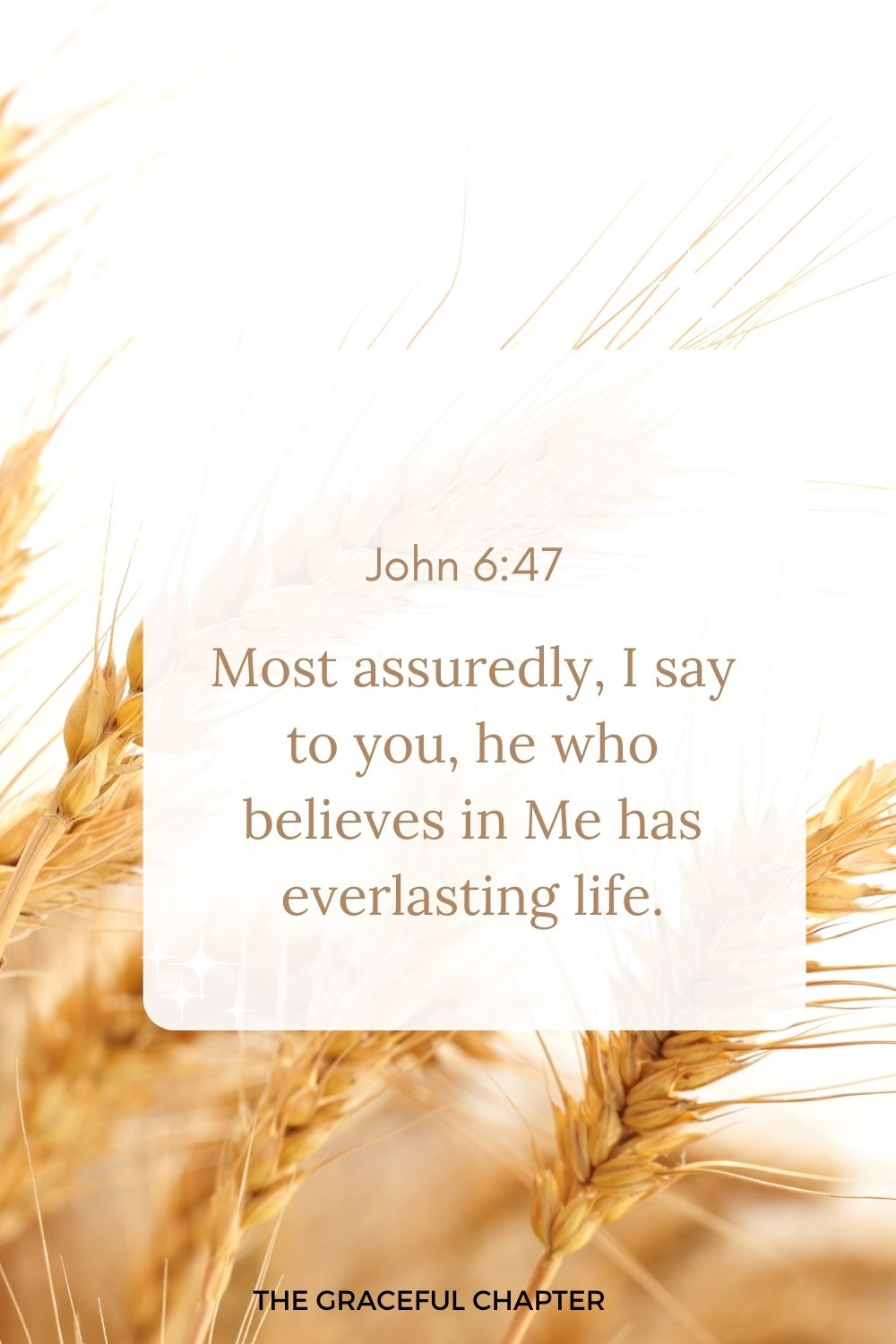 Most assuredly, I say to you, he who believes in Me has everlasting life. John 6:47