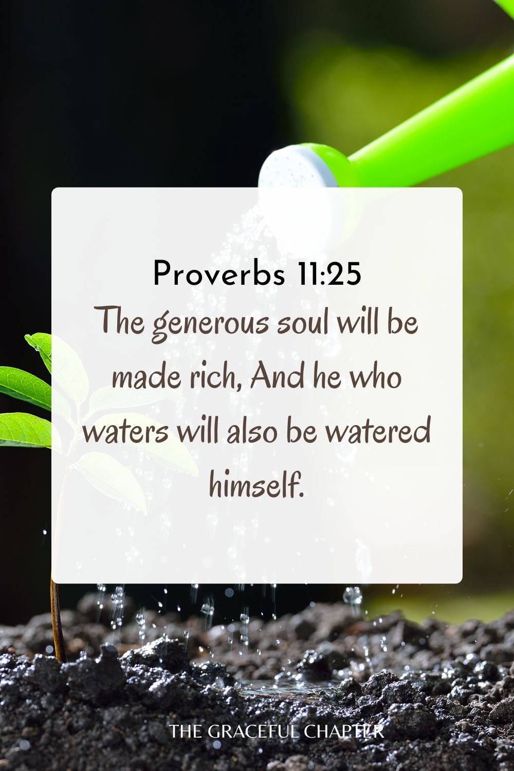 The generous soul will be made rich, And he who waters will also be watered himself. Proverbs 11:25