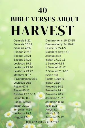 40 Bible Verses About Harvest - The Graceful Chapter