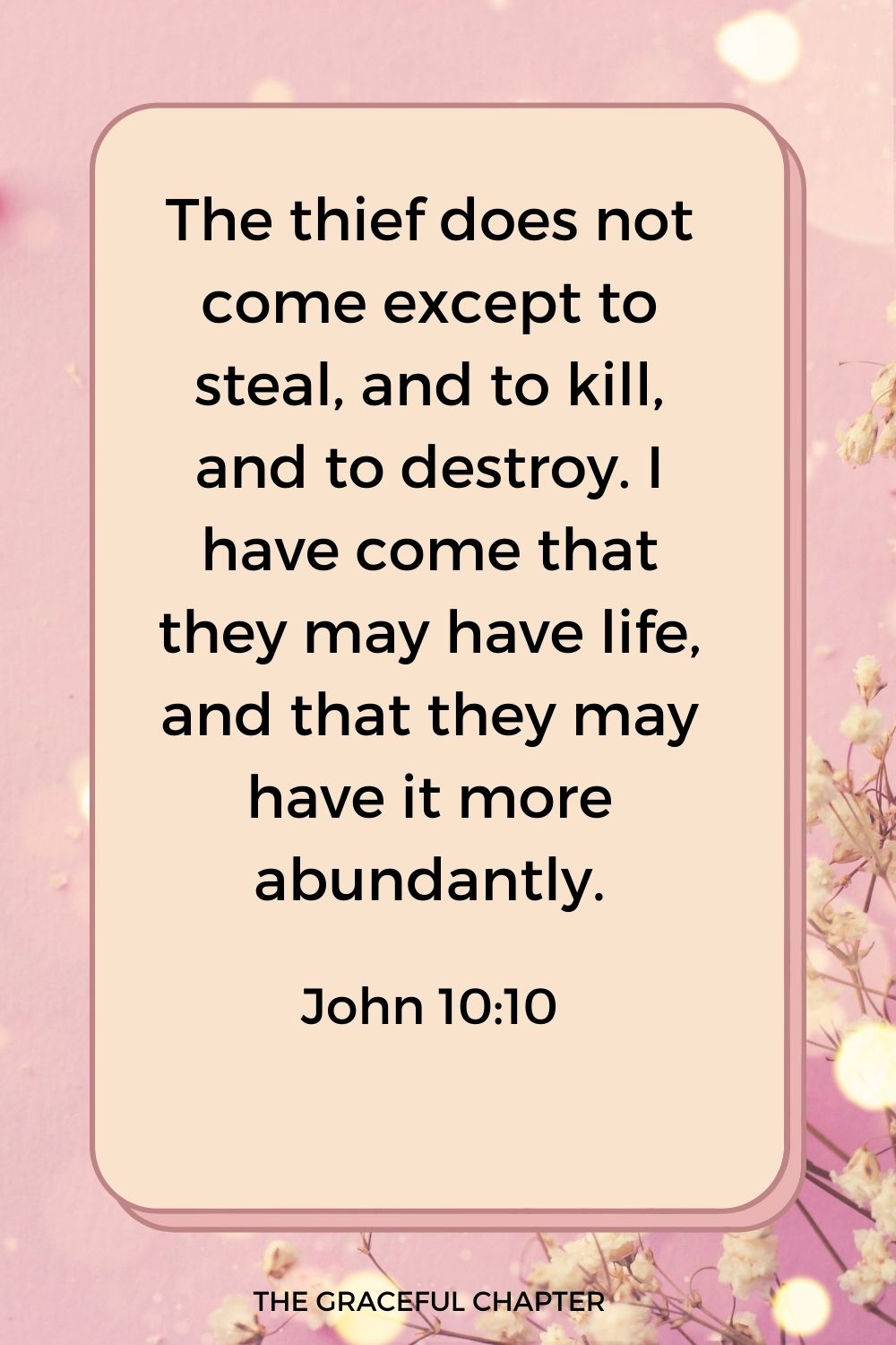 The thief does not come except to steal, and to kill, and to destroy. I have come that they may have life, and that they may have it more abundantly. John 10:10
