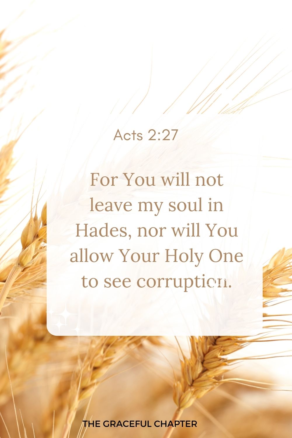 For You will not leave my soul in Hades, nor will You allow Your Holy One to see corruption. Acts 2:27