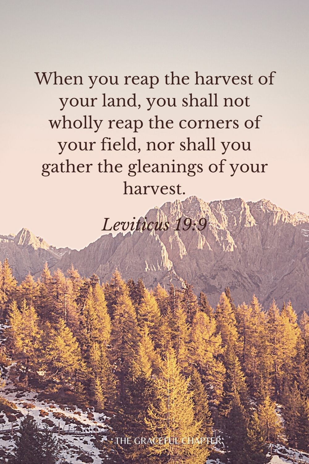 When you reap the harvest of your land, you shall not wholly reap the corners of your field, nor shall you gather the gleanings of your harvest. Leviticus 19:9