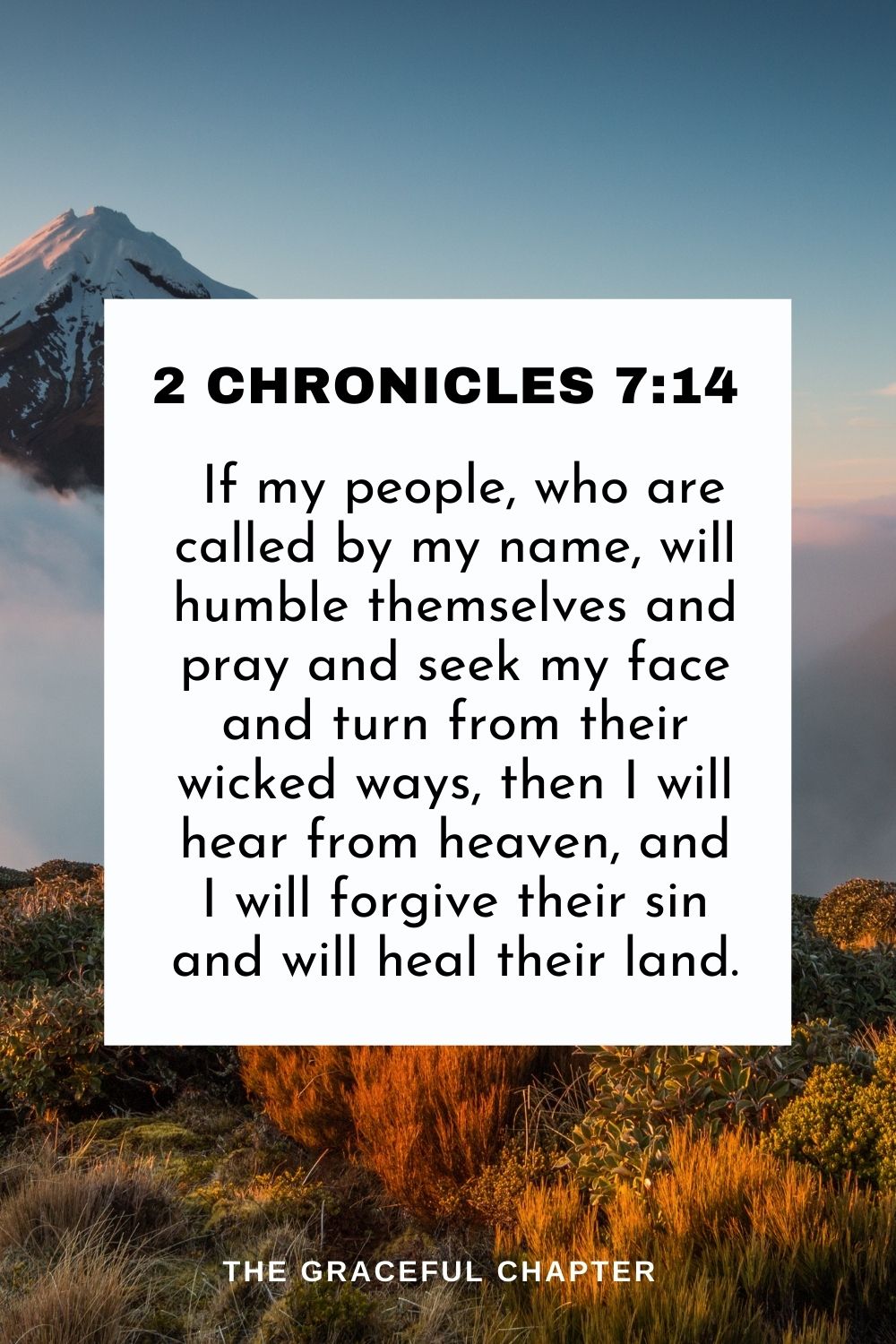 If my people, who are called by my name, will humble themselves and pray and seek my face and turn from their wicked ways, then I will hear from heaven, and I will forgive their sin and will heal their land. 2 Chronicles 7:14