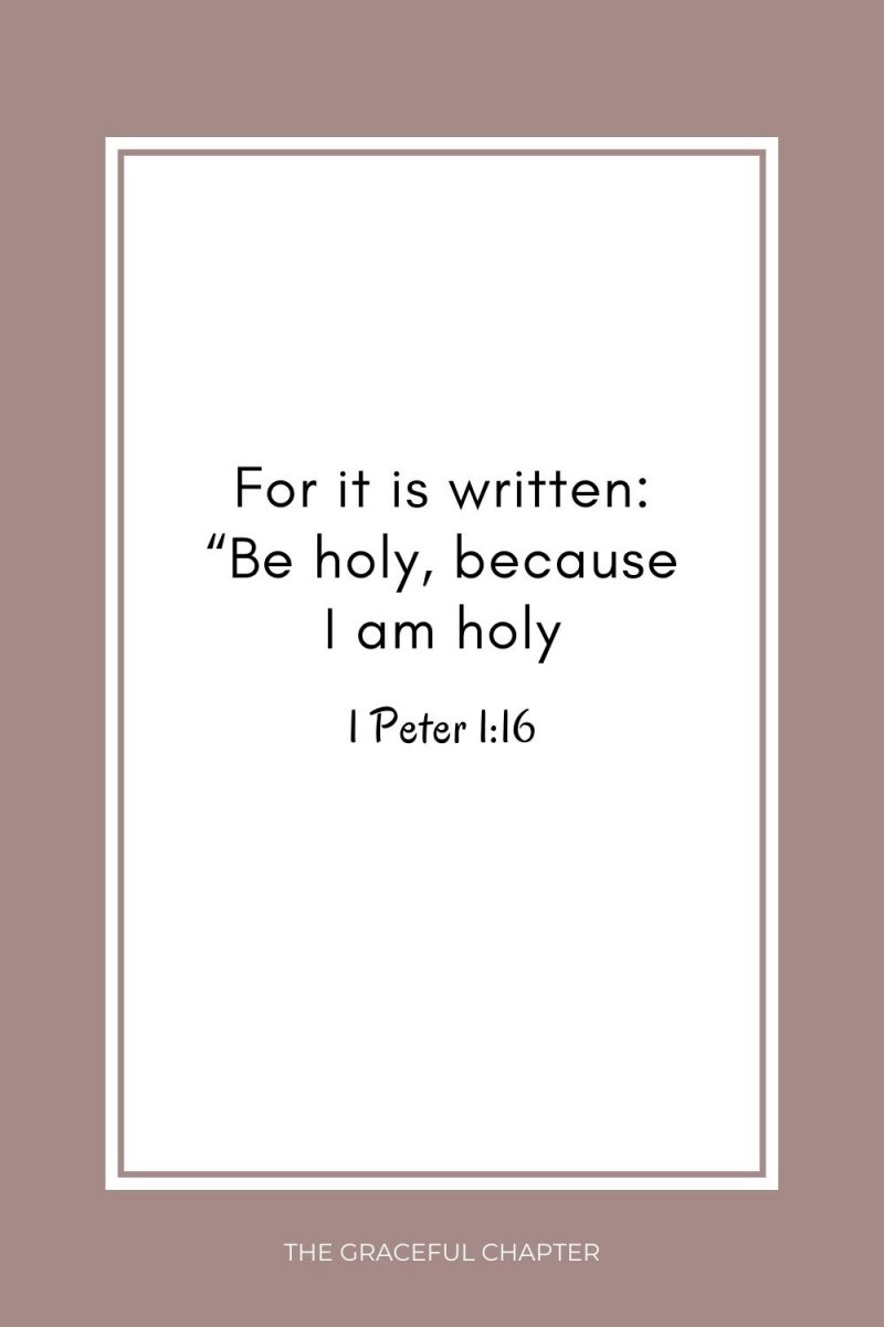 42 Bible Verses About Being Born Again - The Graceful Chapter