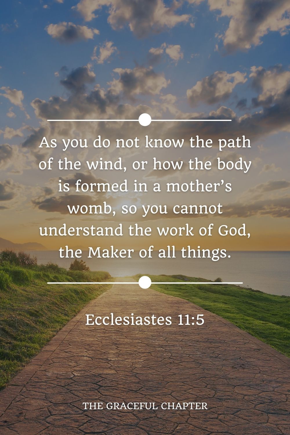 As you do not know the path of the wind, or how the body is formed in a mother’s womb, so you cannot understand the work of God, the Maker of all things. Ecclesiastes 11:5