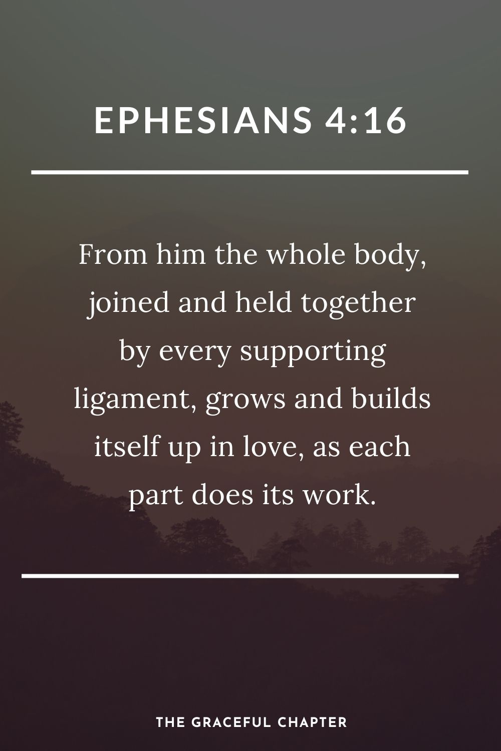 From him the whole body, joined and held together by every supporting ligament, grows and builds itself up in love, as each part does its work. Ephesians 4:16