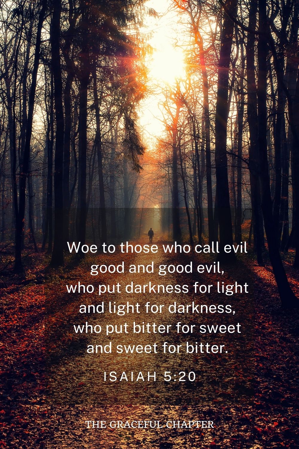 Woe to those who call evil good and good evil, who put darkness for light and light for darkness, who put bitter for sweet and sweet for bitter. Isaiah 5:20