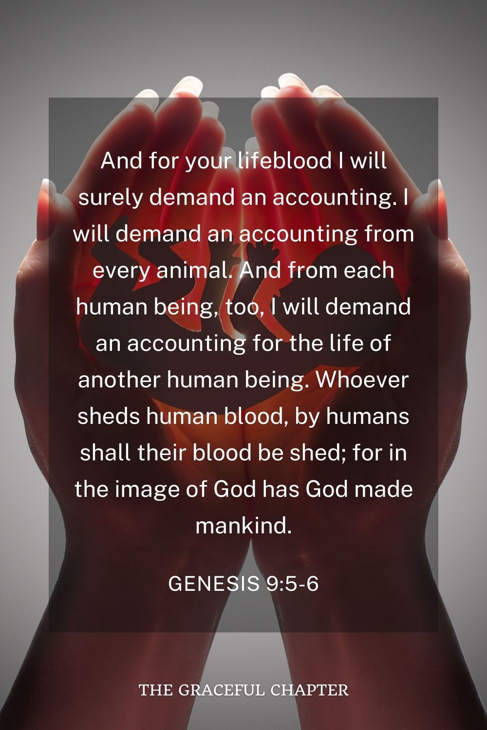 And for your lifeblood I will surely demand an accounting. I will demand an accounting from every animal. And from each human being, too, I will demand an accounting for the life of another human being. Whoever sheds human blood, by humans shall their blood be shed; for in the image of God has God made mankind. Genesis 9:5-6