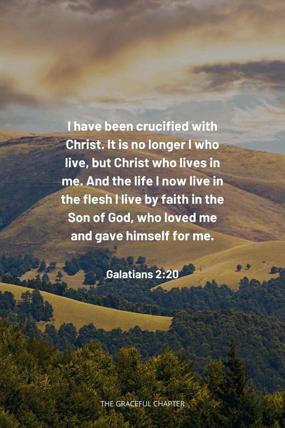 I have been crucified with Christ. It is no longer I who live, but Christ who lives in me. And the life I now live in the flesh I live by faith in the Son of God, who loved me and gave himself for me. Galatians 2:20