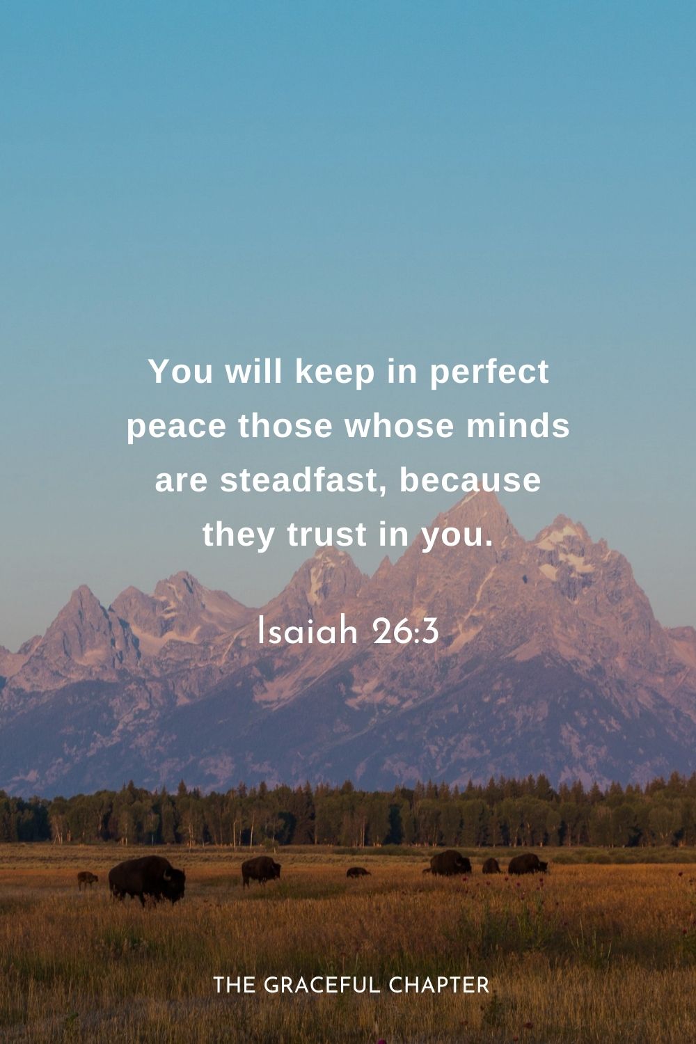 You will keep in perfect peace those whose minds are steadfast, because they trust in you.