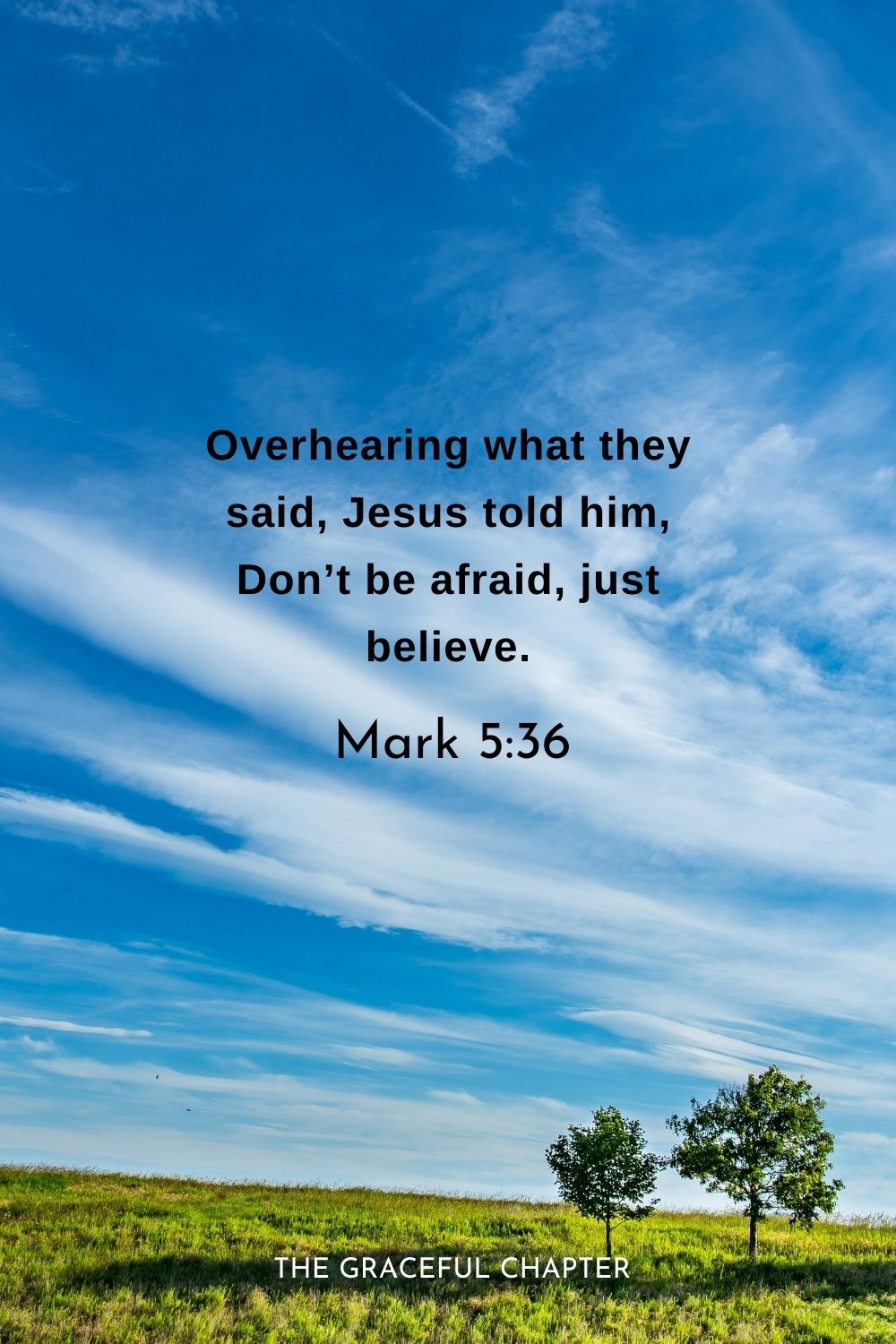 Overhearing what they said, Jesus told him, Don’t be afraid, just believe.