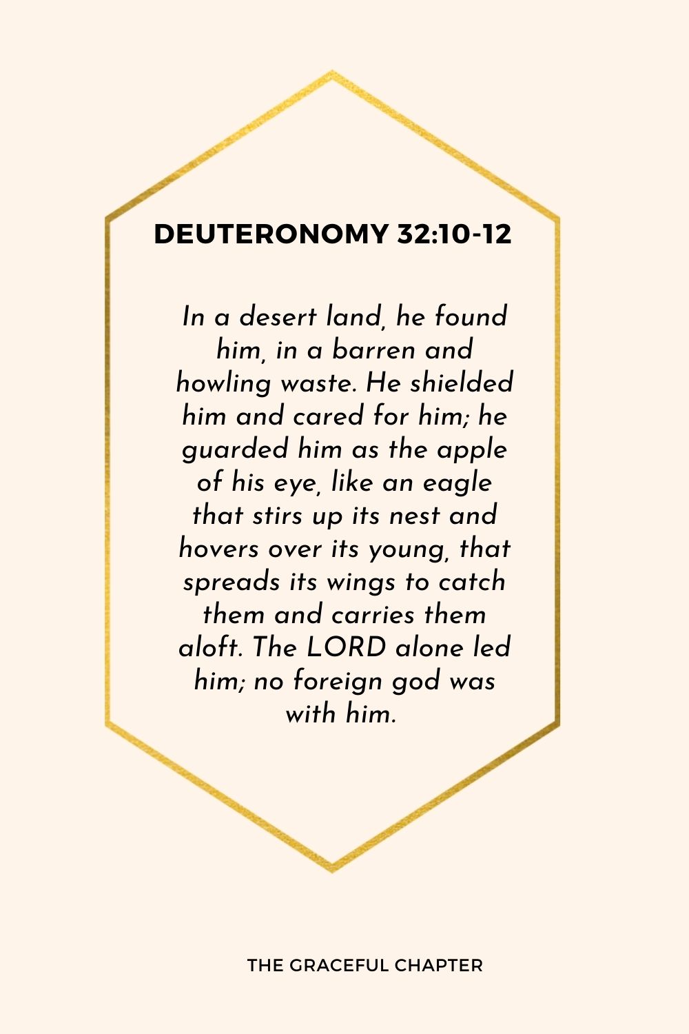 Verse – Deuteronomy 32:10-12 In a desert land, he found him, in a barren and howling waste. He shielded him and cared for him; he guarded him as the apple of his eye, like an eagle that stirs up its nest and hovers over its young, that spreads its wings to catch them and carries them aloft. The LORD alone led him; no foreign god was with him.