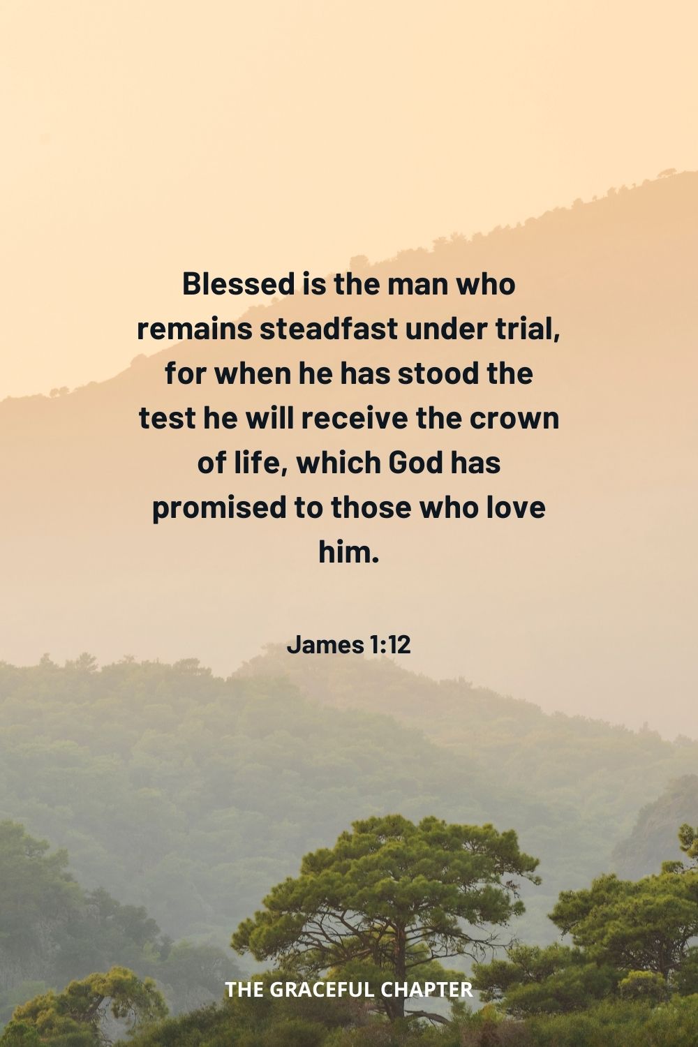 Blessed is the man who remains steadfast under trial, for when he has stood the test he will receive the crown of life, which God has promised to those who love him. James 1:12