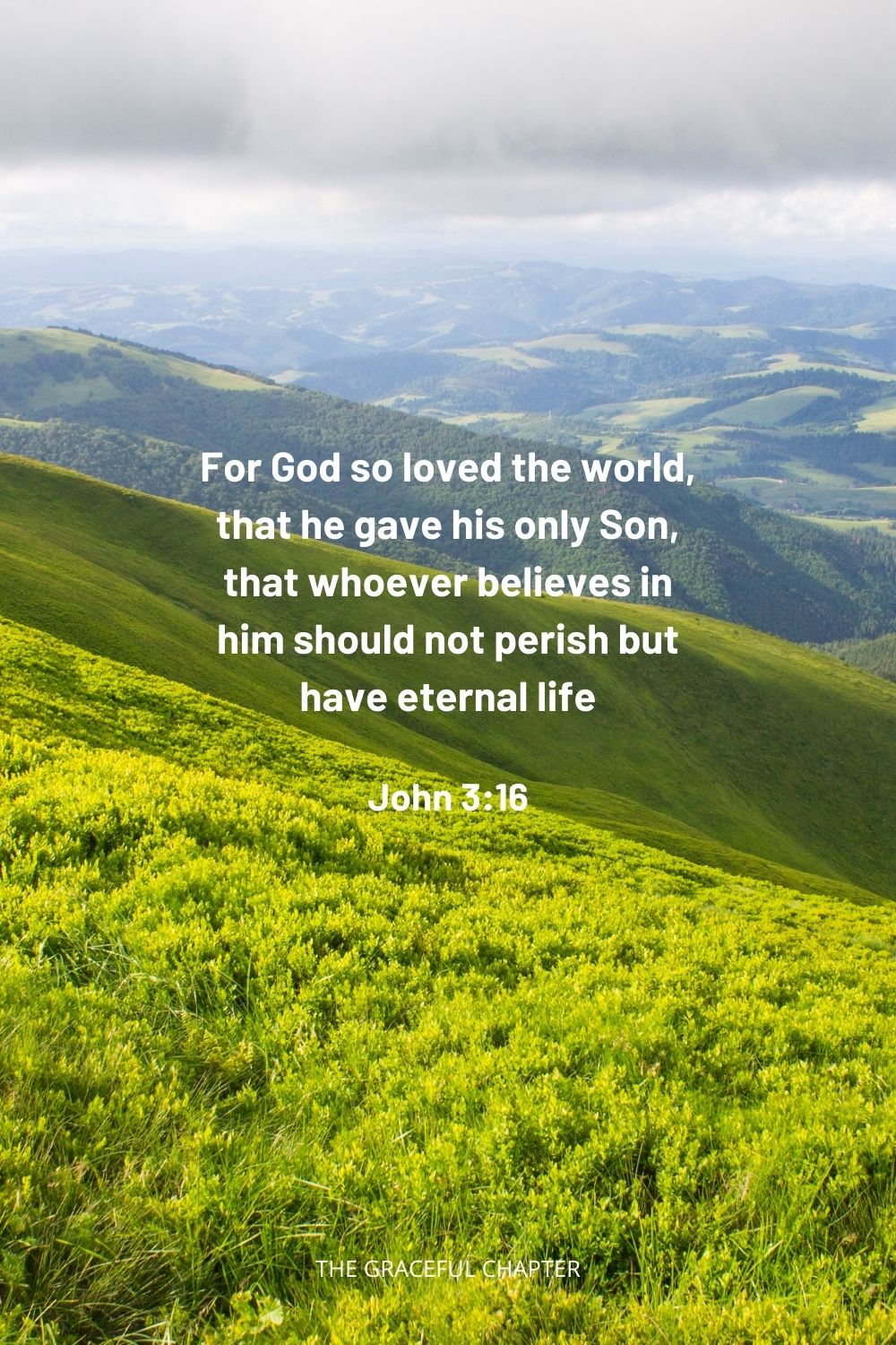 For God so loved the world, that he gave his only Son, that whoever believes in him should not perish but have eternal life John 3:16