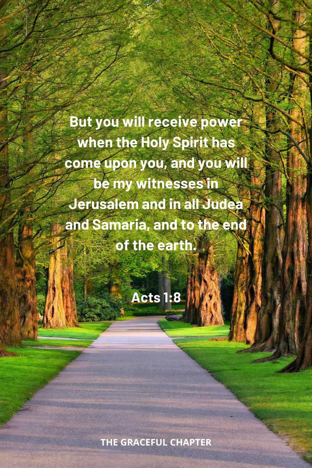But you will receive power when the Holy Spirit has come upon you, and you will be my witnesses in Jerusalem and in all Judea and Samaria, and to the end of the earth. Acts 1:8