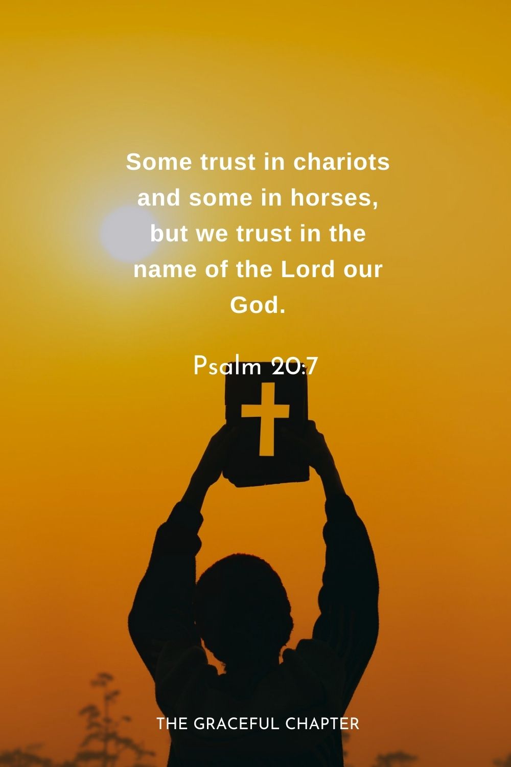 Some trust in chariots and some in horses, but we trust in the name of the Lord our God.