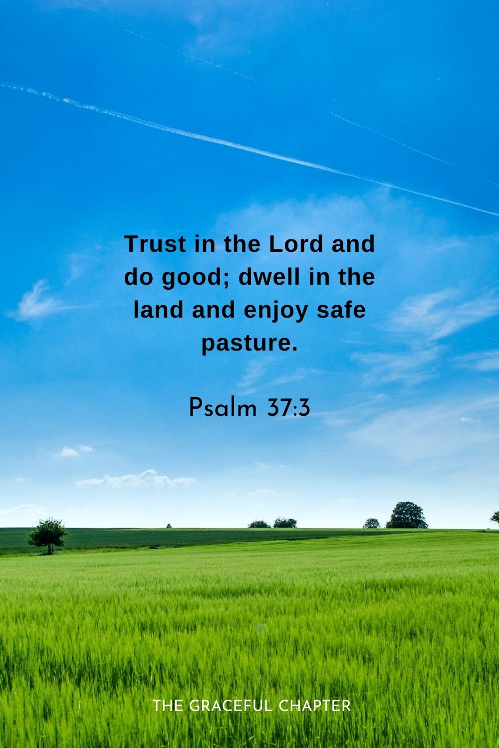 Trust in the Lord and do good;  dwell in the land and enjoy safe pasture.