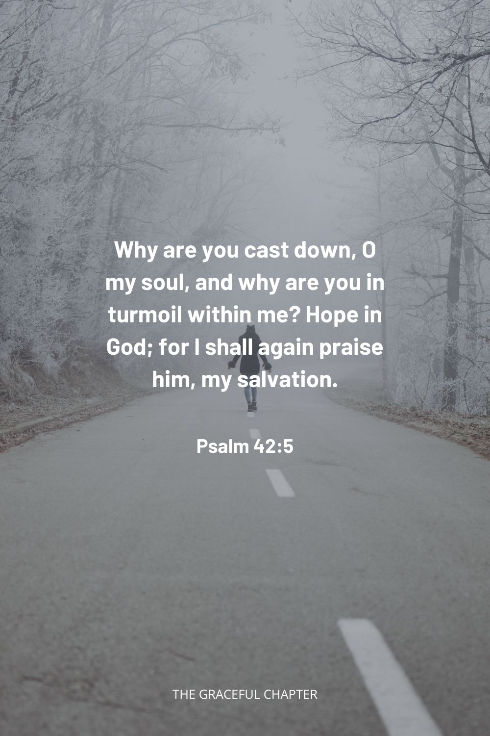 Why are you cast down, O my soul, and why are you in turmoil within me? Hope in God; for I shall again praise him, my salvation. Psalm 42:5
