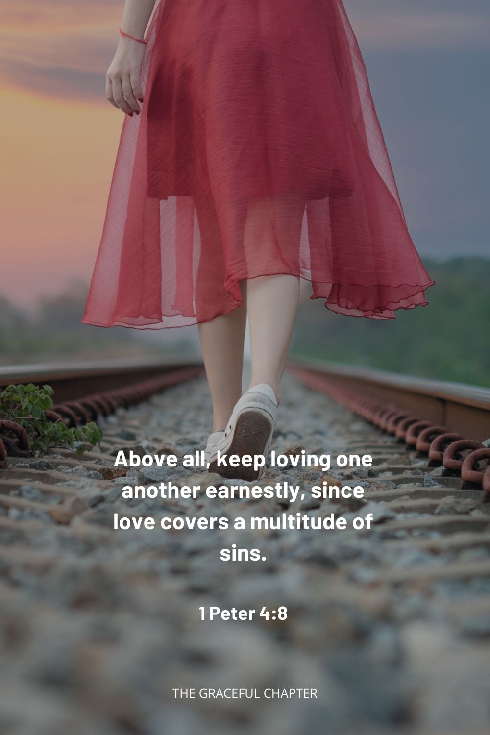 Above all, keep loving one another earnestly, since love covers a multitude of sins. 1 Peter 4:8