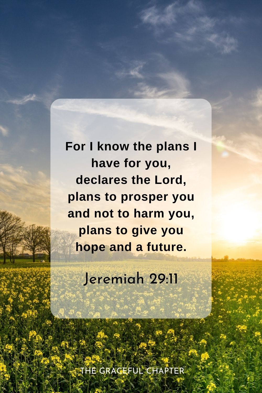 For I know the plans I have for you, declares the Lord, plans to prosper you and not to harm you, plans to give you hope and a future.