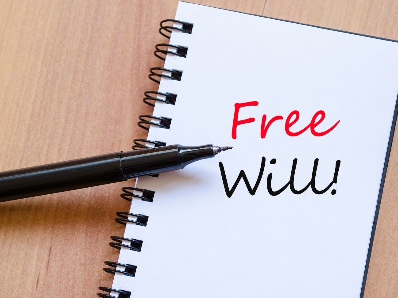 48 Bible Verses About Free Will