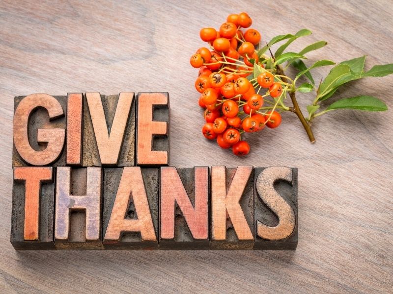 Bible Reflections – Give Thanks