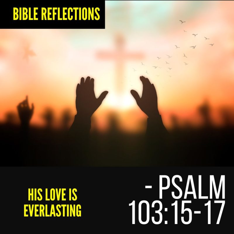 Reflections – His Love Is Everlasting – Psalm 103:15-17