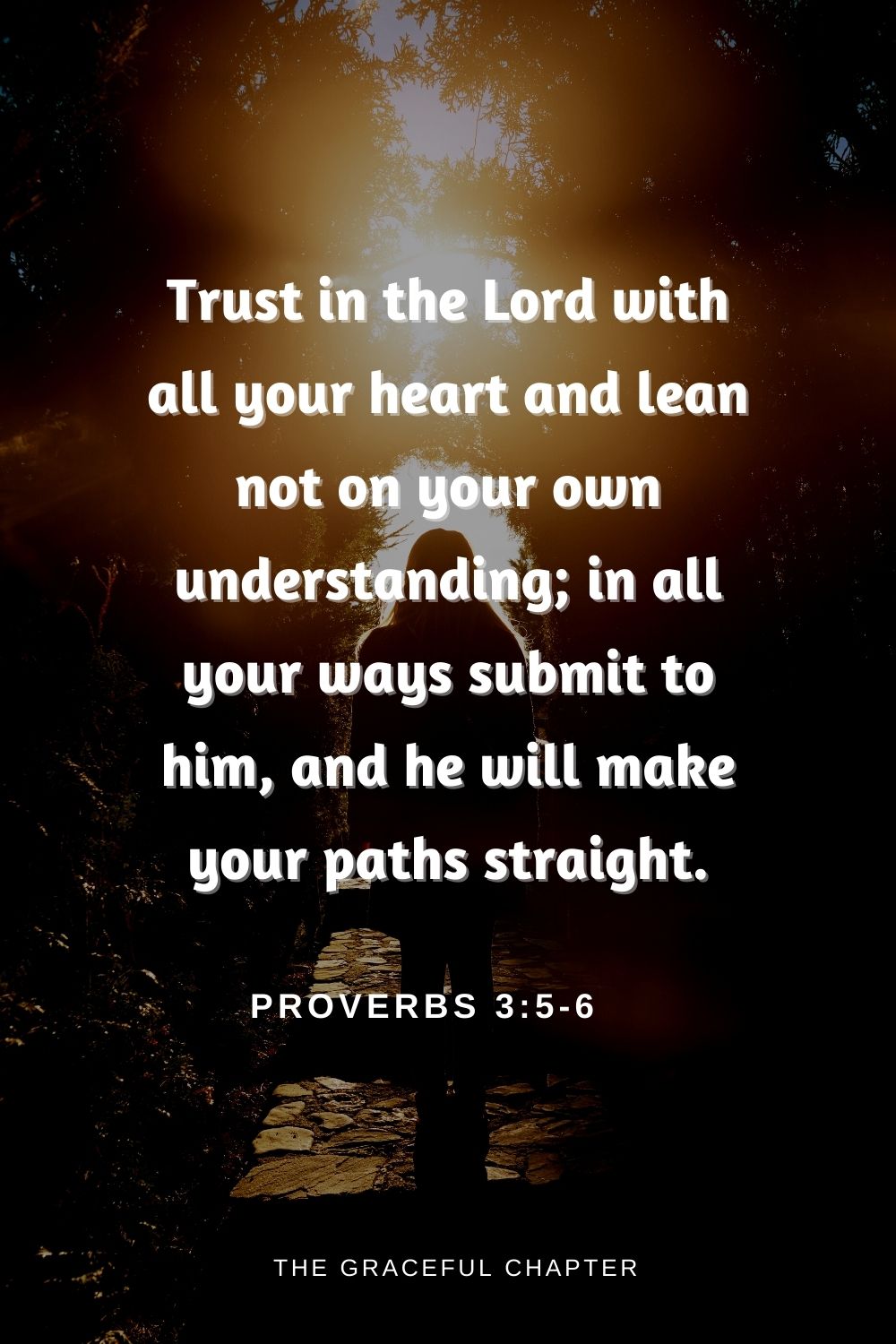 Trust in the Lord with all your heart and lean not on your own understanding; in all your ways submit to him, and he will make your paths straight.