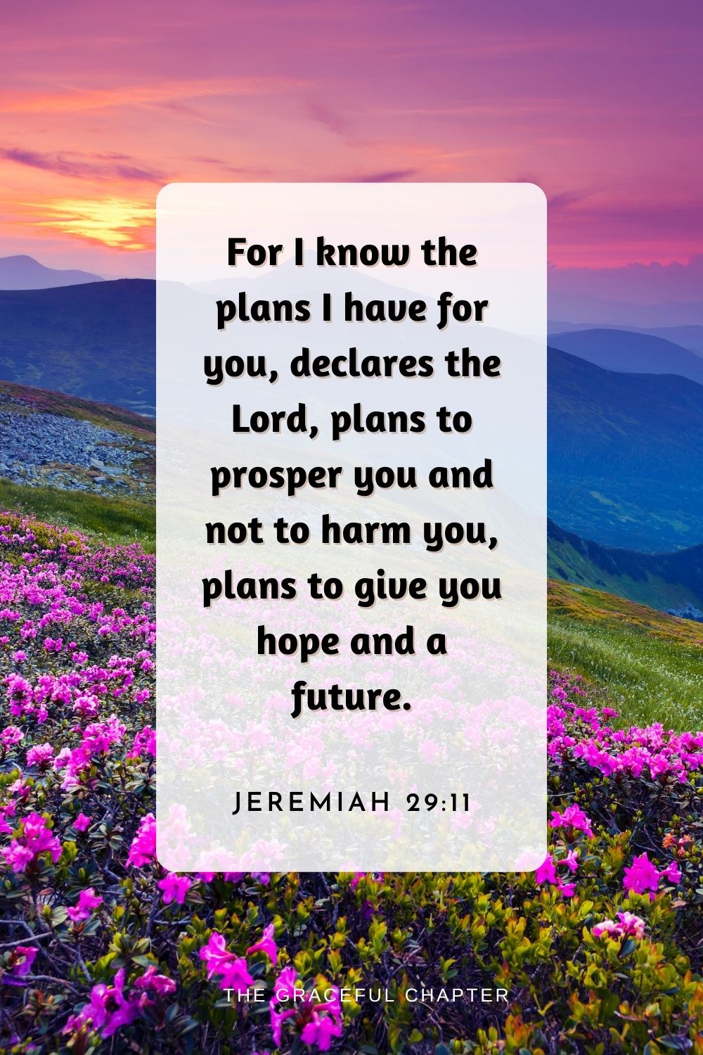 For I know the plans I have for you, declares the Lord, plans to prosper you and not to harm you, plans to give you hope and a future.
