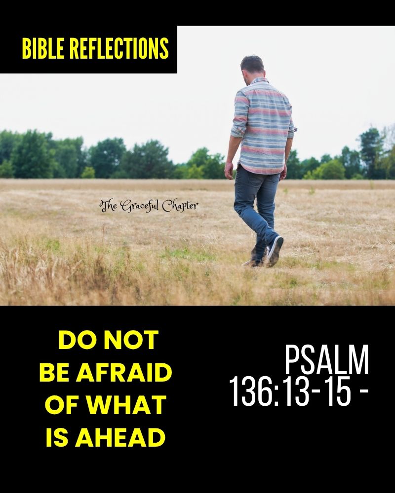 Reflection- Psalm 136:13-15 – Do Not Be Afraid Of What Is Ahead
