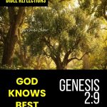 Reflection - Genesis 2:9 - God Knows Best