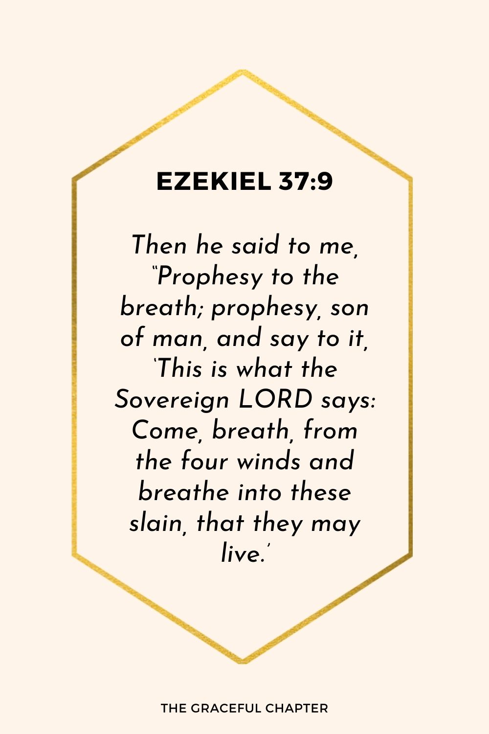 Ezekiel 37:9