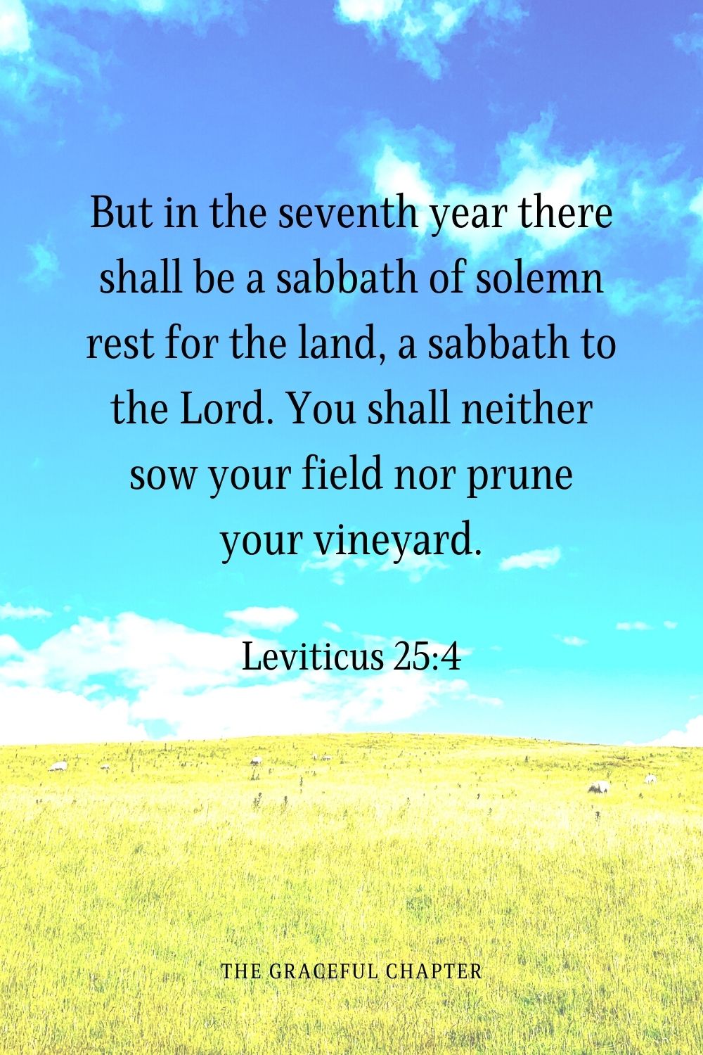 But in the seventh year there shall be a sabbath of solemn rest for the land, a sabbath to the Lord. You shall neither sow your field nor prune your vineyard.
