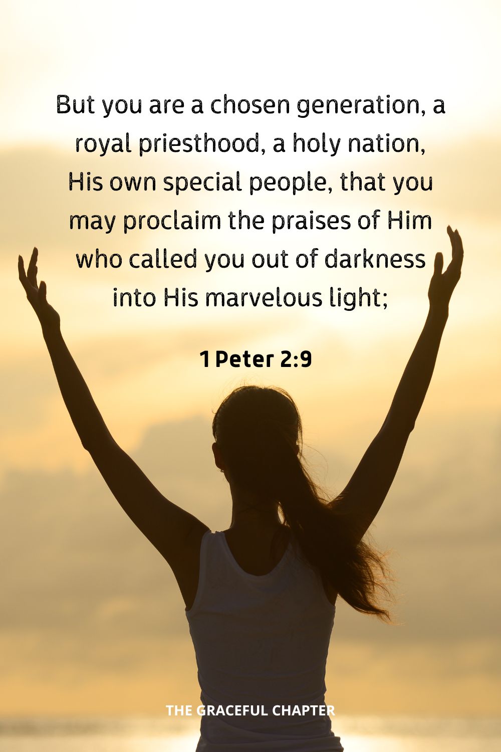 But you are a chosen generation, a royal priesthood, a holy nation, His own special people, that you may proclaim the praises of Him who called you out of darkness into His marvelous light;