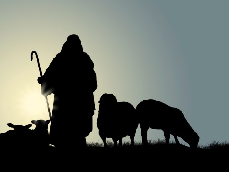 Bible Reflection – Psalm 23 – The Lord Is My Shepherd