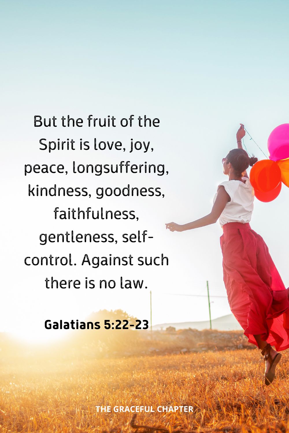 But the fruit of the Spirit is love, joy, peace, longsuffering, kindness, goodness, faithfulness, gentleness, self-control. Against such there is no law.